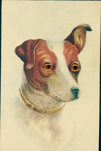 Ak Hund mit Plasteaugen, Halsband