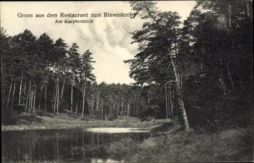 Ak Deutschland, Restaurant zum Riesenkrebs, Am Karpfenteich