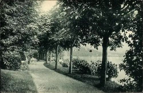 Ak Weggis Kanton Luzern, Seepromenade, Parkhotel Bellevue, Weggis am Vierwaldstätter See