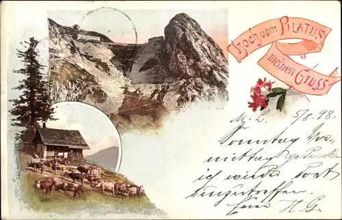 Ak Kanton Luzern Schweiz, Pilatus, Kühe weiden