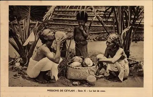 Ak Ceylon Sri Lanka, Le lait de coco
