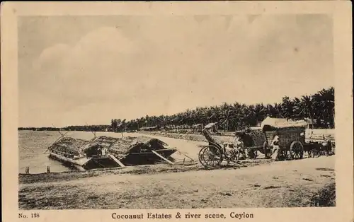 Ak Ceylon Sri Lanka, Cocoanut Estates, river scene