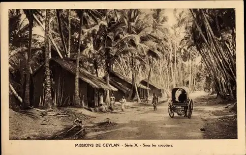 Ak Ceylon Sri Lanka, Sous les cocotiers, Dorfpartie