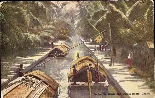 Künstler Ak Negombo Sri Lanka, Negombo Canal and Padda Boats
