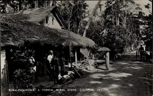 Ak Boralesgamuwa Sri Lanka, A typical rural Scene