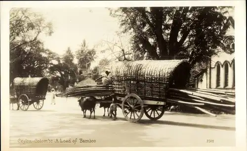 Ak Colombo Ceylon Sri Lanka, A Load of Bamboo