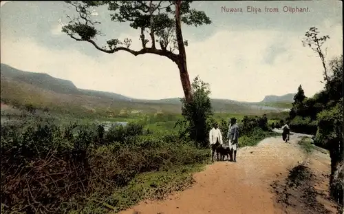 Ak Nuwara Eliya Sri Lanka, View from Oliphant