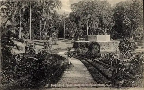 Ak Peradeniya Sri Lanka Ceylon, Botanic Gardens