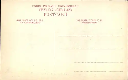 Ak Peradeniya Sri Lanka Ceylon, Botanic Gardens