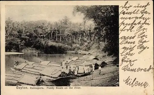 Ak Ratnapura Sri Lanka, Paddy Boats on the river