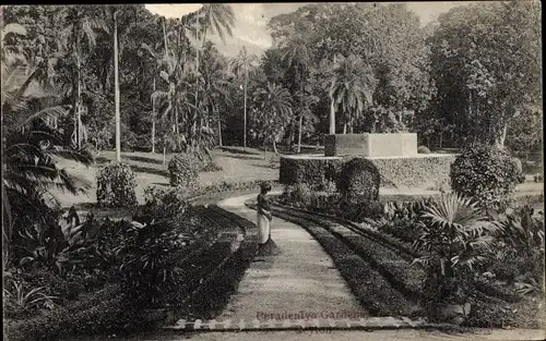 Ak Peradeniya Sri Lanka Ceylon, Botanic Gardens