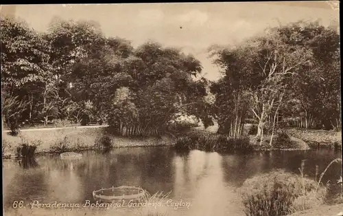 Ak Peradeniya Sri Lanka Ceylon, Botanic Gardens