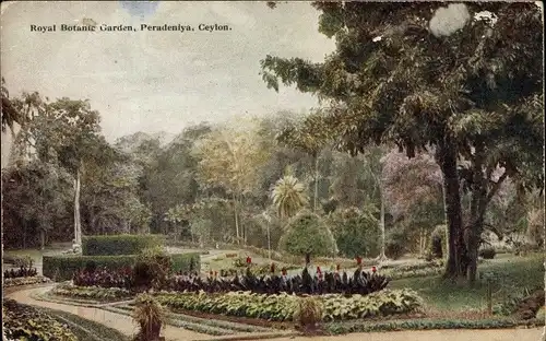 Ak Peradeniya Sri Lanka Ceylon, Royal Botanic Garden