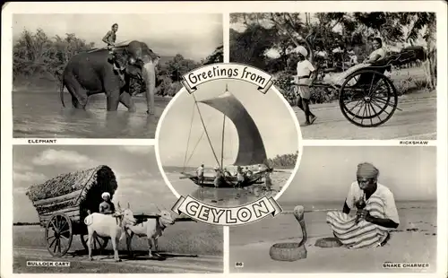 Ak Sri Lanka, Elephant, Rickshaw, Bullock Cart, Snake Charmer, Native Fishing Canoe