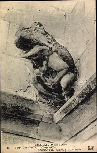 Ak Amboise Indre et Loire, Le Chateau, Tour Charles VIII, Gargouille