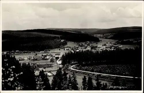 Foto Ak Jägersgrün Muldenhammer im Vogtland, Wohnhäuser, Wald, Landschaft