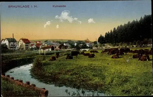 Ak Braunlage im Oberharz, Kuhweide, Uferpartie