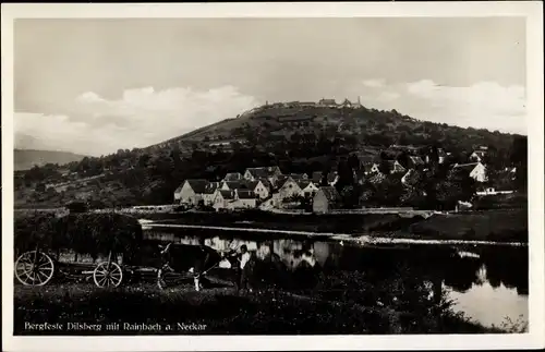 Ak Dilsberg Neckargemünd am Neckar, Bergfeste, Panorama mit Rainbach , Kuh mit Karren