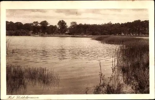 Ak Garderen Gelderland, Het Uddelormeer