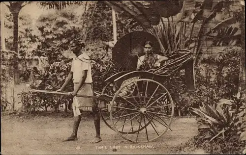 Ak Ceylon Sri Lanka, Tamil Lady in Rickshaw, Rikscha
