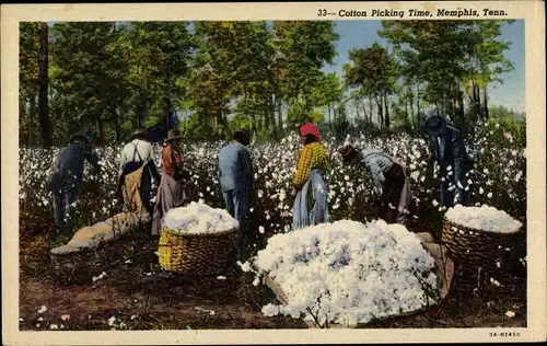 Ak Memphis Tennessee USA, Cotton Picking Time