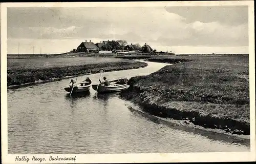 Ak Hallig Hooge in Nordfriesland, Backenswarf