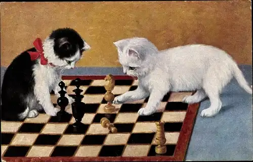 Ak Zwei kleine Katzen spielen Schach, Schachbrett