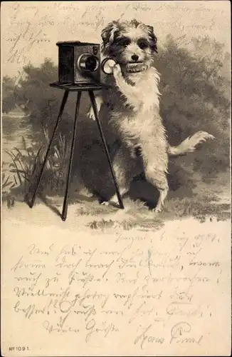 Litho Vermenschlichter Hund mit einem Fotoapparat