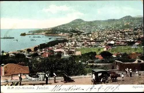 Ak Funchal Insel Madeira Portugal, Gesamtansicht