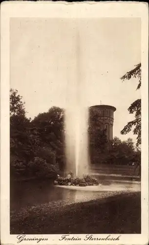 Ak Groningen Niederlande, Fontein Sterrenbosch