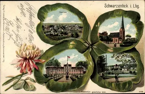 Kleeblatt Litho Schwarzenbek im Herzogtum Lauenburg, Franziskuskirche, Stadthaus, Totalansicht