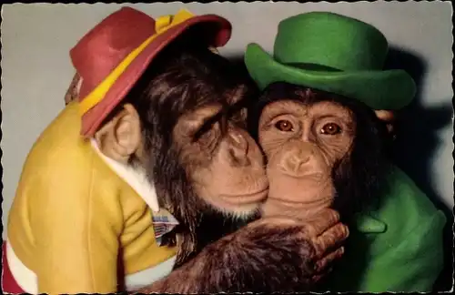 Ak Schimpansen in Kleidung, Hüte