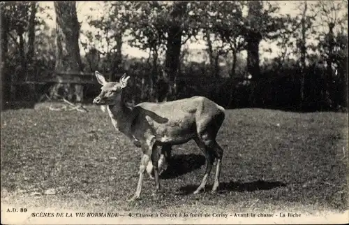 Ak Scenes de la Vie Normande, Chasse a Courre a la foret de Cerisy, Avant la chasse, La Riche