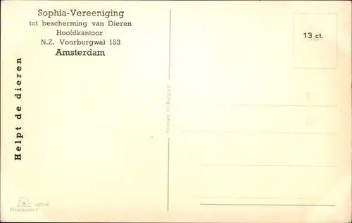 Ak Zwei trinkende Hunde, Welpen, Sophia Vereeniging tot bescherming van Dieren, Amsterdam