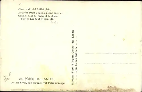 Ak Au Soleil des Landes, En hiver, aux lagunes, vol d'oies sauvages, Wildgänse