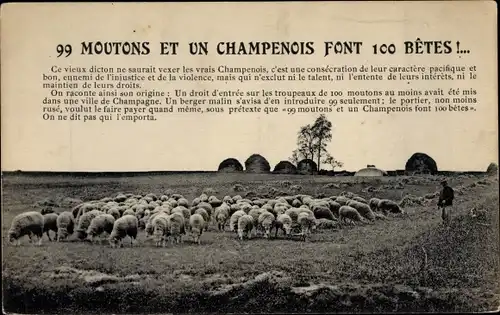 Ak 99 Moutons et un Champenois font 100 Betes, Hirte mit Schafherde