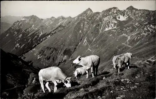 Ak Schweiz, Hotel Rothorn Kulm, Kühe auf der Alm, Alpenpanorama