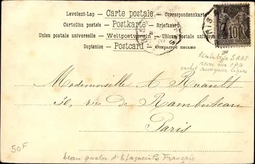 Ak Vier braun weiße Hunde, Jagdhunde