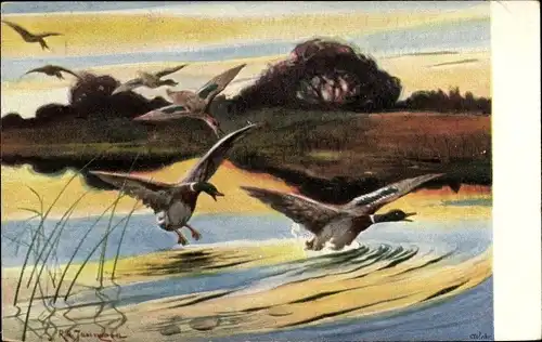 Künstler Ak Enten landen auf einem Gewässer, Dämmerung, BKWI 532-5