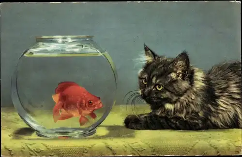 Ak Katze beobachtet Goldfisch in Goldfischglas