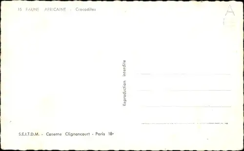 Ak Crocodiles, afrikanische Krokodile