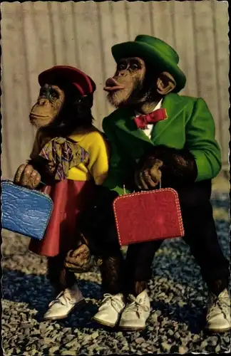 Ak Zwei vermenschlichte Schimpansen, Kleidung, Koffer