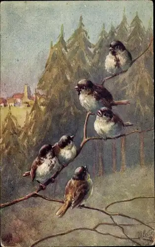 Künstler Ak Spatzen, Sperlinge auf einem Zweig