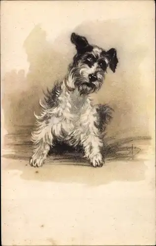 Künstler Ak Terrier, Hundeportrait