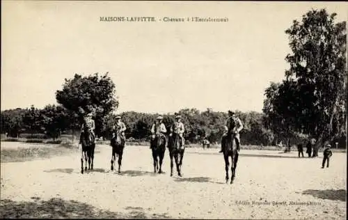 Ak Maisons Laffitte Yvelines, Chevaux a l'Entrainement