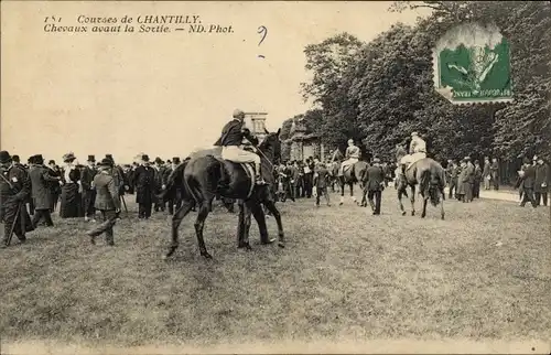 Ak Chantilly Oise, Courses, Chevaux avaut la Sortie