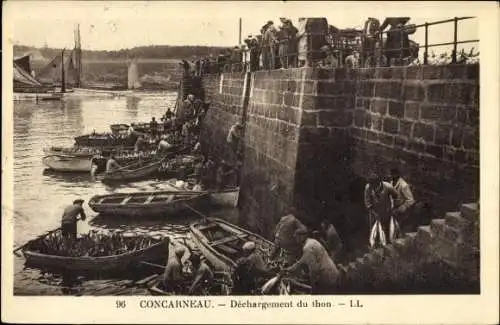 Ak Concarneau Finistère, Dechargement du thon