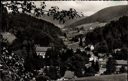 Ak Alpirsbach im Schwarzwald, Ehlenbogental