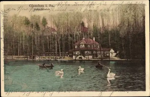 Ak Glauchau in Sachsen, Gründelteich, Schwäne, Ruderboote