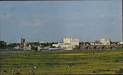 Ak Wesel am Niederrhein, Rheinansicht, Stadt, Brücke, Kühe